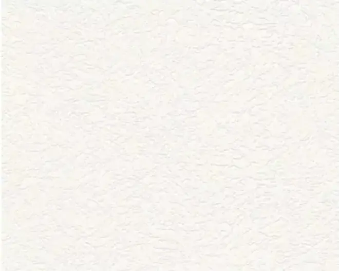 AS Creation Black & White 4 3223-19 обои виниловые на флизелиновой основе