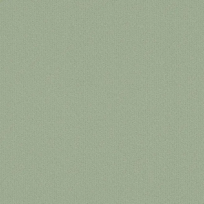 AS Creation Trendwall 37365-5 обои виниловые на флизелиновой основе