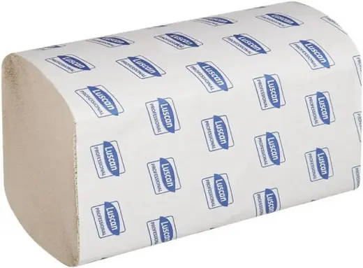 Luscan Professional полотенца бумажные листовые V-сложения (20 пачек * 250 полотенец) натуральные 1 слой вторичная целлюлоза Россия