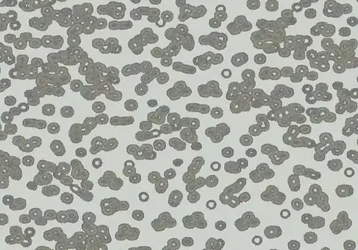 Forbo Flotex Sottsass флокированное ковровое покрытие Flotex Bacteria 990201