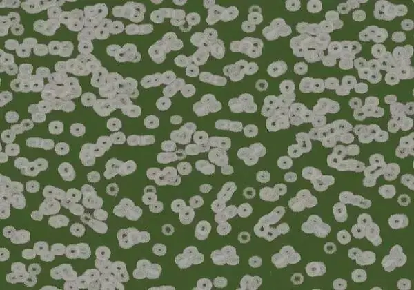 Forbo Flotex Sottsass флокированное ковровое покрытие Flotex Bacteria 990403