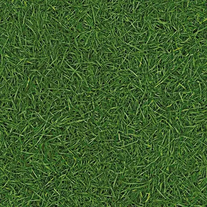 IVC Smart Neo линолеум бытовой Grass 25 (3.5 м)