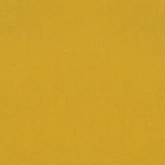 Rasch Amazing 531442 обои виниловые на флизелиновой основе