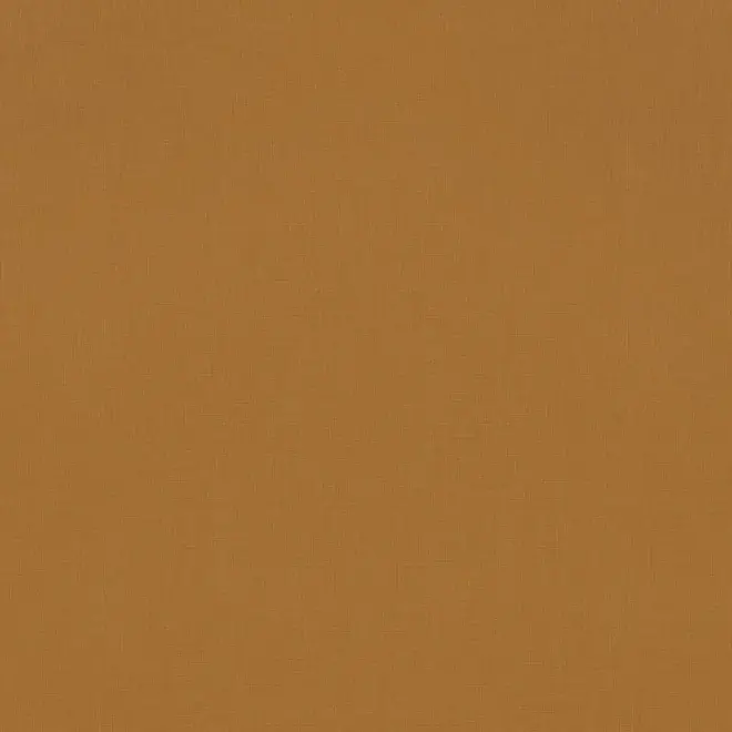 Rasch Amazing 531466 обои виниловые на флизелиновой основе