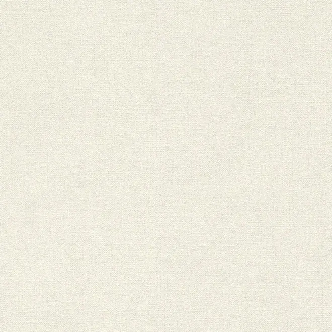 Rasch Andy Wand 639636 обои виниловые на флизелиновой основе