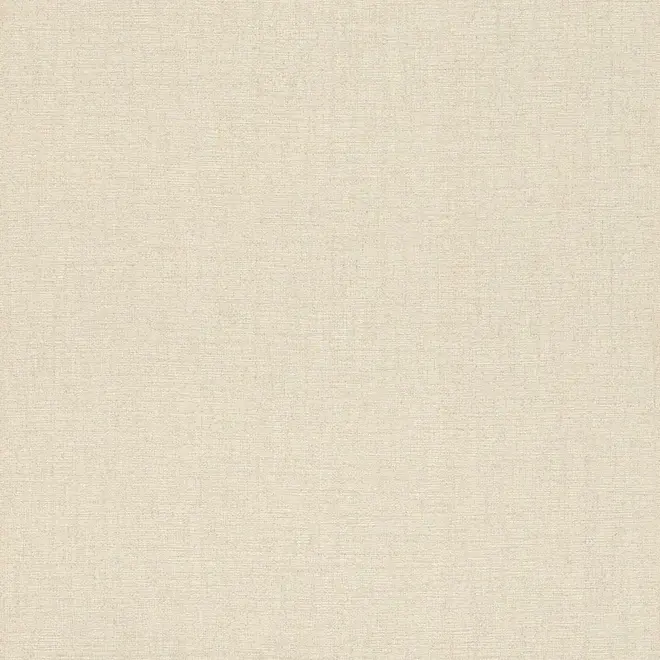 Rasch Andy Wand 650570 обои виниловые на флизелиновой основе