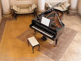 Сокол Сан-Дени коллекция