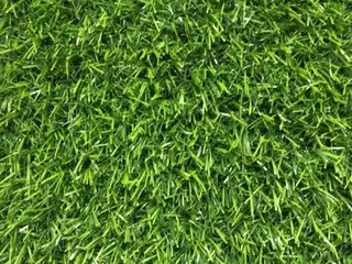 Санторини трава искусственная