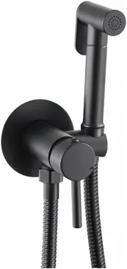 Ganzer GZ42101 смеситель для биде встраиваемый