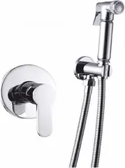 Ganzer GZ5302 смеситель для биде встраиваемый