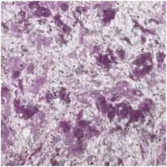 Bioplast 413 жидкие обои