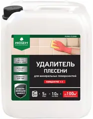 Просепт Fungi Clean удалитель плесени
