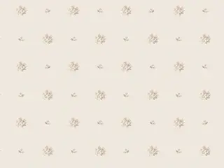 Milassa Classic Ls5002/1 обои флизелиновые