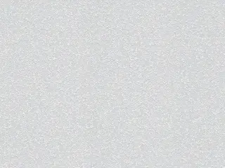 AS Creation Meistervlies 3108-11 обои виниловые на флизелиновой основе