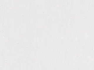 AS Creation Meistervlies 5838-71 обои виниловые на флизелиновой основе