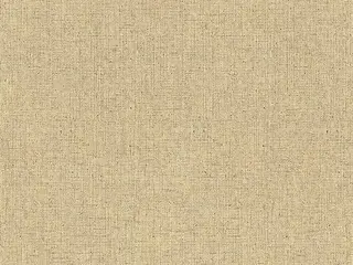 Erismann Magnifique 3510-6 обои виниловые на флизелиновой основе