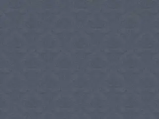 Erismann Spring Collection 3798-5 обои виниловые на флизелиновой основе