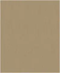 Erismann Orient 5110-20 обои виниловые на флизелиновой основе