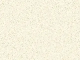 Erismann Olivia 6136-3 обои виниловые на флизелиновой основе