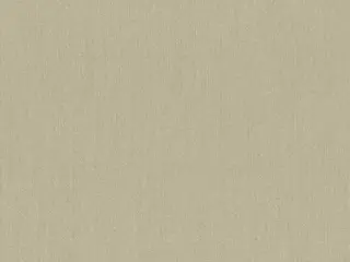 Rasch Mandalay 528534 обои виниловые на флизелиновой основе