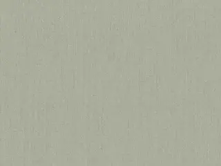 Rasch Mandalay 528541 обои виниловые на флизелиновой основе