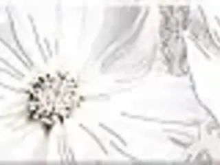 Азори Sfumato коллекция Sfumato Grey Floret бордюр