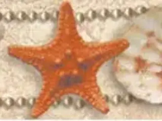 Нефрит-Керамика Аликанте коллекция Аликанте Морские Звезды и Ракушки 05-01-1-57-03-11-123-0 бордюр (500 мм) 50 мм (9 мм) разноцветный матовый ракушки/