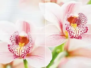 Нефрит-Керамика Меланж коллекция Меланж 06-01-1-45-04-11-440-0 панно (500*1000 мм/9 мм) разноцветное матовое фотопринт/орхидея