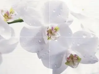 Нефрит-Керамика Меланж коллекция Меланж 06-01-1-45-04-61-440-0 панно (500*1000 мм/9 мм) разноцветное матовое фотопринт/орхидея