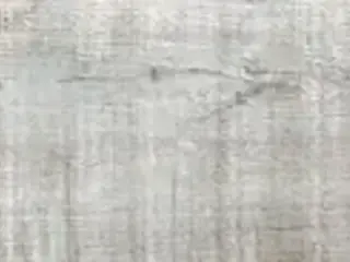 Керамика Будущего Идальго Гранит Вуд Эго коллекция Гранит Вуд Эго SR Светло-Серый керамогранит напольный (195*1200 мм)