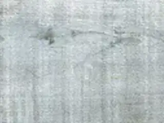 Керамика Будущего Идальго Гранит Вуд Эго коллекция Гранит Вуд Эго SR Серо-Голубой керамогранит напольный (195*1200 мм)