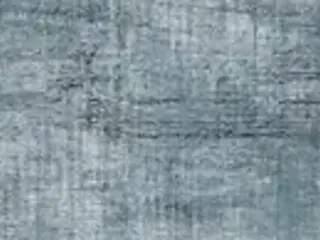 Керамика Будущего Идальго Гранит Вуд Эго коллекция Гранит Вуд Эго SR Синий керамогранит напольный (195*1200 мм)