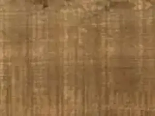 Керамика Будущего Идальго Гранит Вуд Эго коллекция Гранит Вуд Эго SR Темно-Коричневый керамогранит напольный (195*1200 мм)