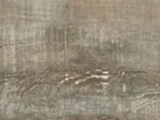 Керамика Будущего Идальго Гранит Вуд Эго коллекция Гранит Вуд Эго SR Серый керамогранит напольный (295*1200 мм)