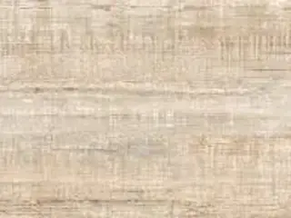 Керамика Будущего Идальго Гранит Вуд Эго коллекция Гранит Вуд Эго SR Светло-Бежевый керамогранит напольный (295*1200 мм)