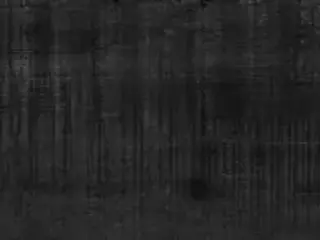 Керамика Будущего Идальго Гранит Вуд Эго коллекция Гранит Вуд Эго SR Черный керамогранит напольный (295*1200 мм)