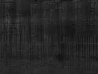 Керамика Будущего Идальго Гранит Вуд Эго коллекция Гранит Вуд Эго LR Черный керамогранит напольный (295*1200 мм)