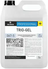 Pro-Brite Trio-Gel моющее отбеливающее средство с содержанием хлора