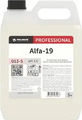 Pro-Brite Alfa-19 концентрат для уборки после строительства и уборки