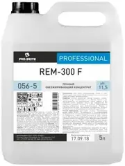 Pro-Brite Rem-300 F пенный обезжиривающий концентрат