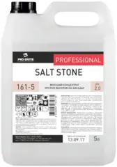 Pro-Brite Salt Stone моющий концентрат против высолов на фасадах