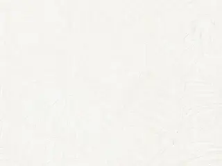 Нефрит-Керамика Фернс коллекция Фернс 01-10-1-16-00-00-1600 плитка напольная