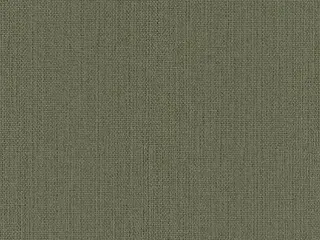 Rasch Kimono 407945 обои виниловые на флизелиновой основе