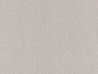 Rasch Kimono 407969 обои виниловые на флизелиновой основе