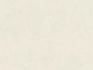 Rasch Kimono 408126 обои виниловые на флизелиновой основе