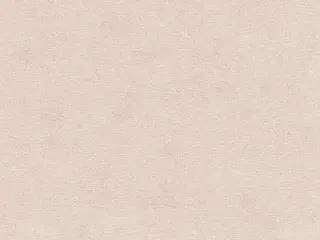Rasch Kimono 408140 обои виниловые на флизелиновой основе