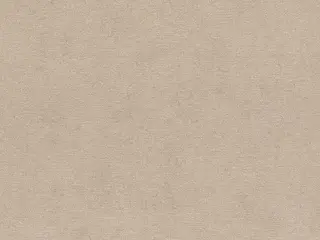 Rasch Kimono 408164 обои виниловые на флизелиновой основе