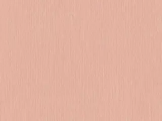 Rasch Barbara Home Collection II 536836 обои виниловые на флизелиновой основе