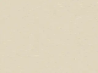 Erismann Jacklin 60112-08 обои виниловые на флизелиновой основе