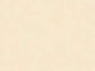 Erismann Light 2 4568-8 обои виниловые на флизелиновой основе